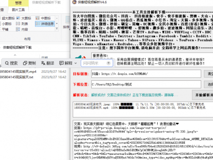 电脑侠客短视频解析去水印V4.8