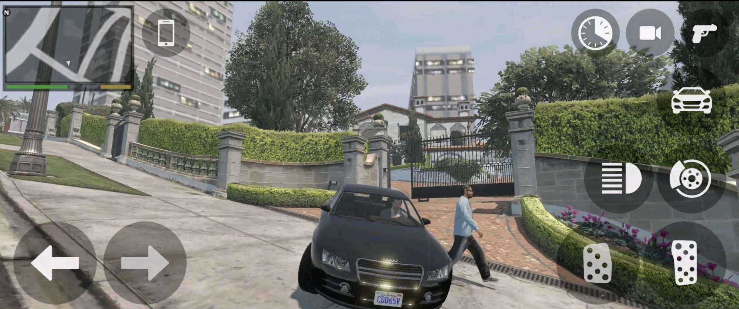 ds.jpg